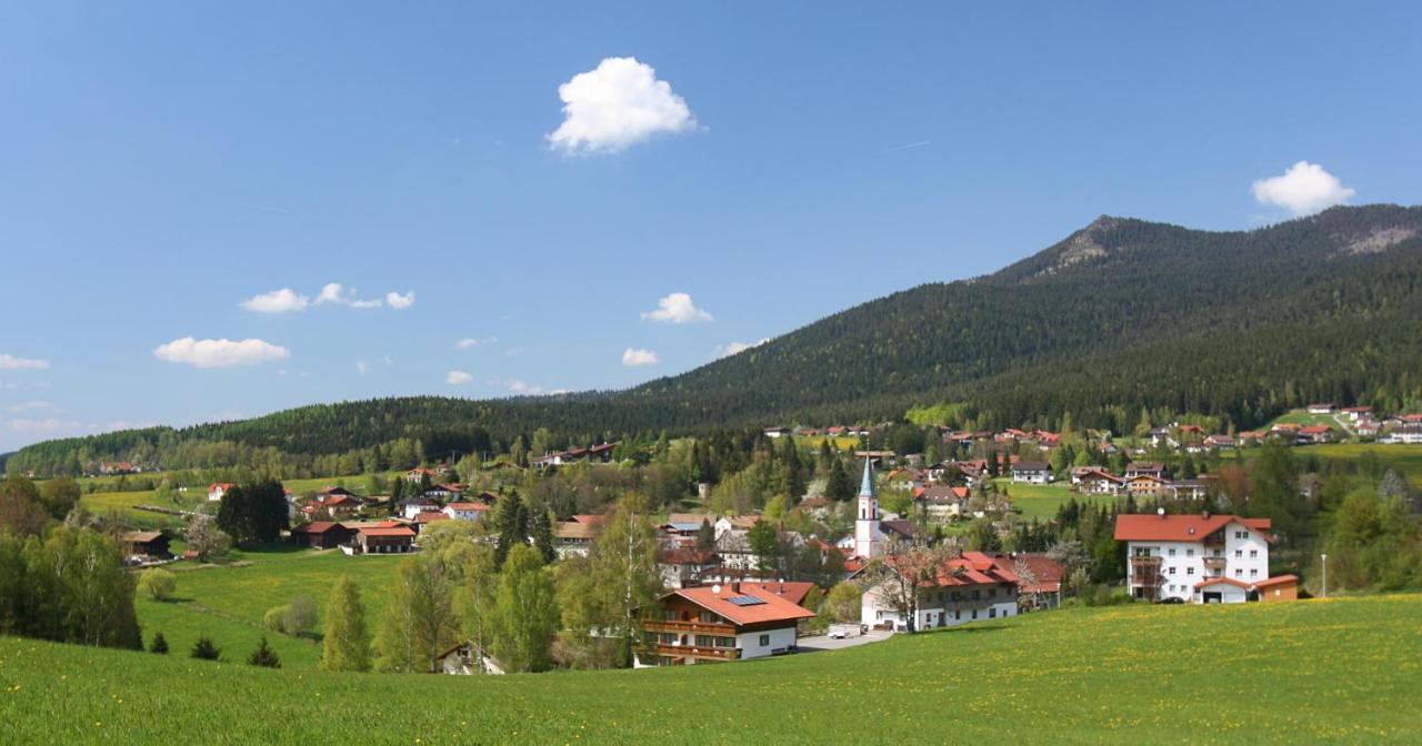 Garnihotel Zur Linde - Bayerischer Wald - Aktivcard Mit 154 Kostenfreien Leistungen - Kostenloser Parkplatz Lohberg Luaran gambar
