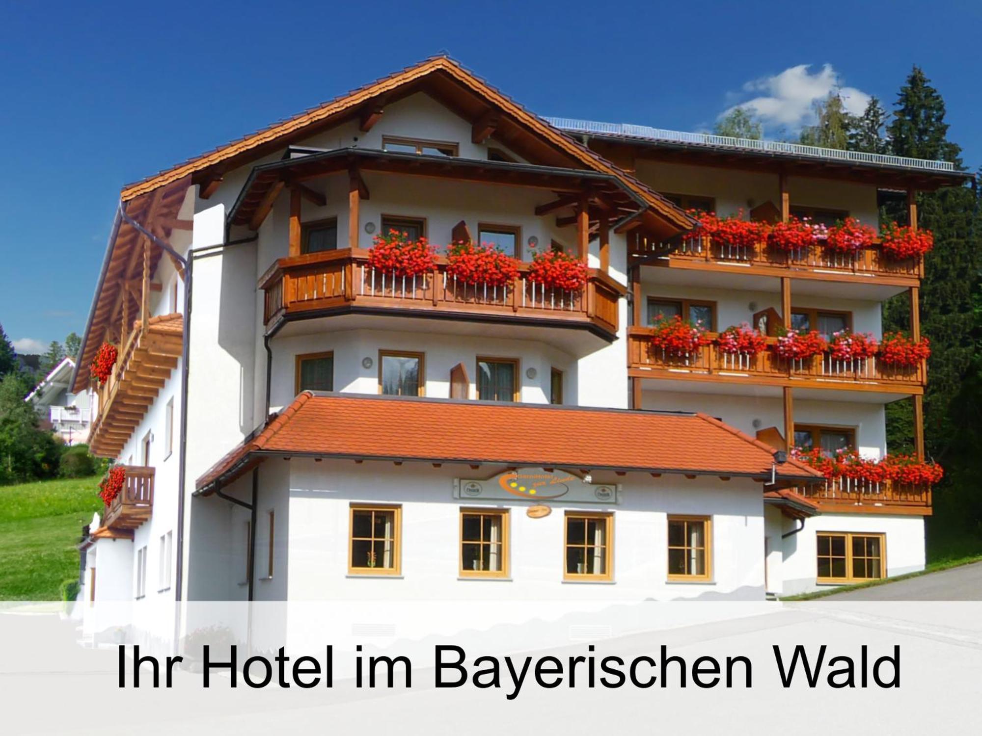 Garnihotel Zur Linde - Bayerischer Wald - Aktivcard Mit 154 Kostenfreien Leistungen - Kostenloser Parkplatz Lohberg Luaran gambar